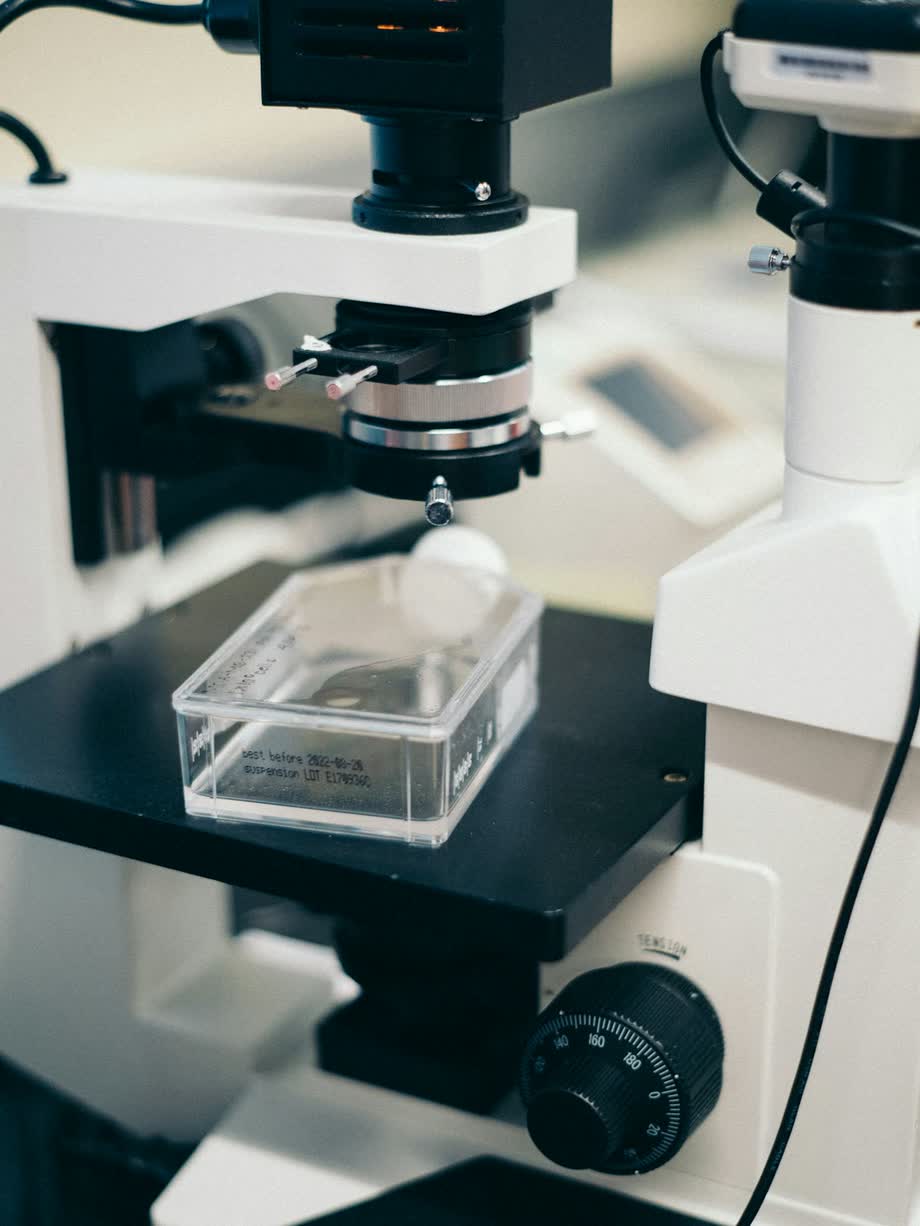 A cell culture dish on the stage of a laboratory microscope